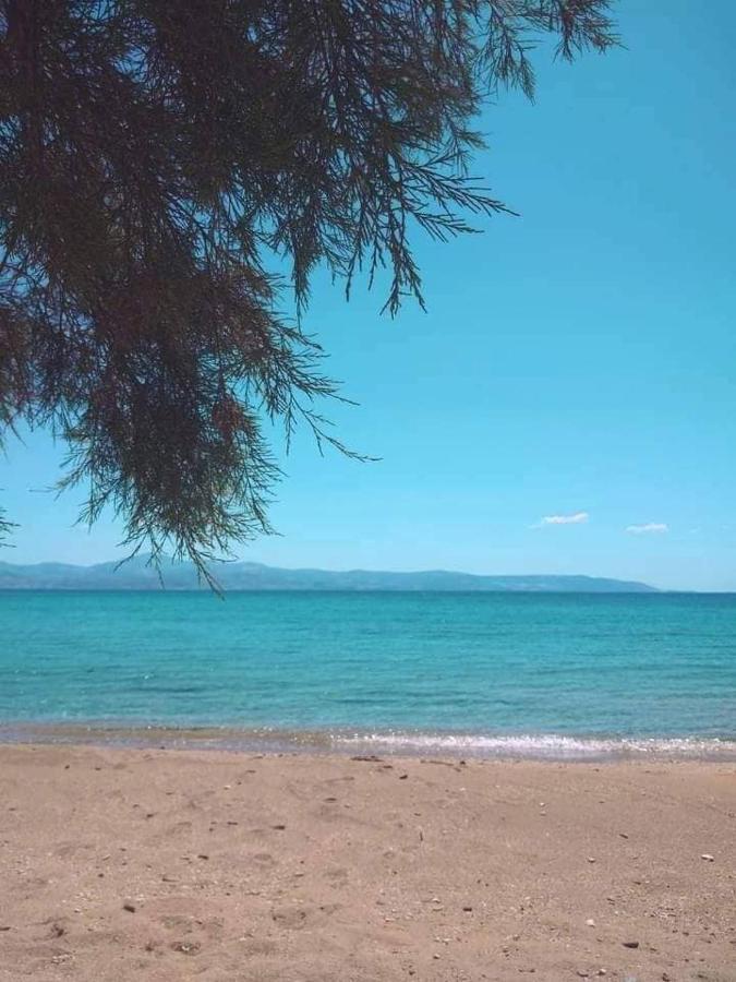 Annezina'S Memories Διαμέρισμα Λογαράς Εξωτερικό φωτογραφία